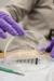 New Undergraduate Teaching Lab Helps Students to Explore Microfluidics