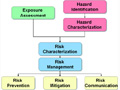 Are Nanoparticles Safe?