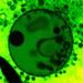 Harvard Physicists Demonstrate Formation of Semipermeable Vesicles from Inorganic Clay