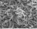 New Nanotechnology Method to Detect Cholera at Faster Rate