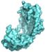 Scientists Discover Molecular Assistant That Helps Bacteria for Producing Proteins