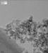 Glidewell Synthesizes 3 nm Zirconia Nanocrystals Using Bottom-Up Nanotechnology