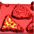 Spin Electronics and Molecular Electronics Combine for World's Smallest Magnetic Sensor