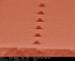 NIST Scientists Confirm That Etched Quantum Dots Work as Sources of Single Photons