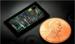 Research Team Builds Silicon Optical Chips Using Nanofabrication Tools