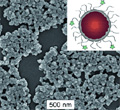 Metal-Organic Nanomaterials Used to Mark Tumor Cells