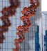 Nanotechnology Research to Strengthen Ties with Industry