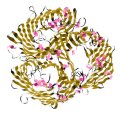 Malvern Expert to Discuss Measuring Zeta Potential of Proteins at BES Conference