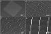 Vertical Silicon Nanowires Display Rainbow Colors