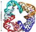 RNA Sequencing Helps Develop Self Assembling Nano Square