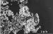 Graphene Nano-composites Increase Ceramic Resistance to Cracks