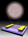Electrical Properties of Graphene with Magnetism Could have Interesting Applications in Spintronics