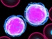 Liposome Wrapped Silica Nano-particles for Multiple Drug Delivery