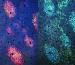 Camouflaging Traits of Marine Creatures to be Simulated in Nanomaterials
