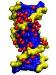 Structure of DNA Nano-particles Depend on Water Content of Molecules Surrounding Them