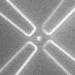 Yale University Discover Method for Isolating DNA Molecules