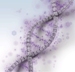 XIENCE Nano Coronary Stent System from Abbott Receives FDA Approval