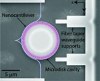 Researchers Design Sensor with Sensitive Nanophotonic Interferometer