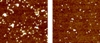 NIST Develops New Method to Study Nanotoxicology