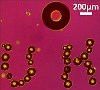 Teams Develop Micrometer Size Robots to Participate in Microrobotics Challenge