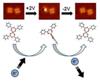 CNRS Researchers Study Molecular Switch Using STM and AFM