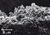 Researchers Evaluate Risk Factors of Nano-Composites in Cement