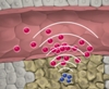MIT Researchers Develop Communicating Nanoparticles for Drug Delivery