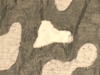 Scientists Study Bone Matrix Using Nanoscale Bone Samples