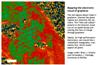 Researchers Observe Electron Clouds on Graphene Surface on Folding