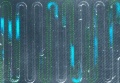 Researchers Trap Bubbles within Narrow Pathways of Microfluidic Chip