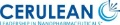 Cerulean Conducts Second Phase Clinical Study of Nanopharmaceutical for Lung Cancer Patients