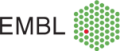 Scientists Identify Three-Dimensional Structures in Inner Ring of Nuclear Pore