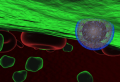 Manhattan Scientifics Commercializes Nanotechnology Tools for Treating Cancer