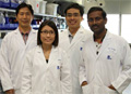 Nanotechnology Researchers Turn Embryonic Stem Cells into Heart cells
