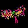 Researchers Study Regulation of Molecular Motor Proteins