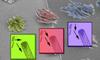 Researchers Develop Straight Carbon Nanofibers on Transparent Substrate