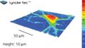 Researchers Use Digital Holographic Microscopy to Observe Neuronal Activity in Real-Time