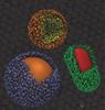 Novel Method to Produce Uniformly Sized Nanoparticle Superclusters