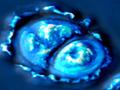 Researchers Develop Spatial Light Interference Microscopy to Measure Cell Growth