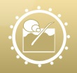 Survey Study on Nanotechnology and Dermatology Education in the US