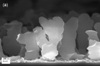 Researchers Study Nanoblades’ Potential in Hydrogen Storage Applications