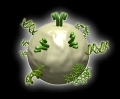 Laser-Generated Gold Nanoparticle Conjugates for Biotechnology
