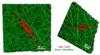 NIST Researchers Prove Change in Stem Cell Shape Determines Its Function