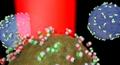 Silver Nanoparticle Biotags for Identifying Cancerous Prostate Cells