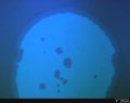 SEEC Microscopy Provides Unexpected Information About the Behaviour of Labelled Lipids