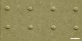 Harvard Engineers Develop Plasmonic Nanotweezers