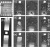 Researchers Demonstrate Spontaneous Combustion Phenomenon in Nanobubbles