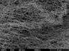 Empa Researchers Develop Innovative Production Method for Nanocellulose Powder