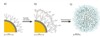 Novel Coating Makes Quantum Dots Suitable for Biomedical Processes
