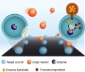 Researchers Design Nanoreactors to Aid in Drug Manufacture